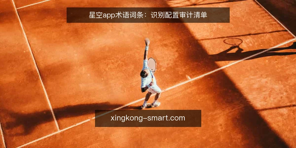 星空app术语词条:识别配置审计清单 — 为何现在做术语审计 配图